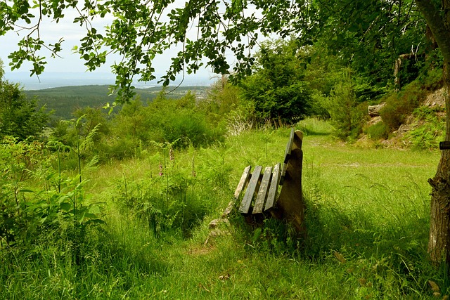 在C罗的传 在C罗的传