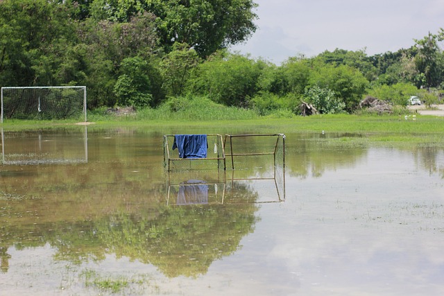 其他国家敬老院价格一览表.