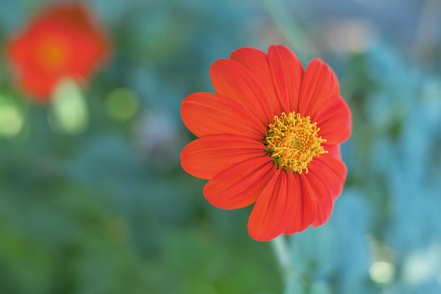 北青体育：足协有权单方终止合作 留用久尔杰维奇或是可接受选项.