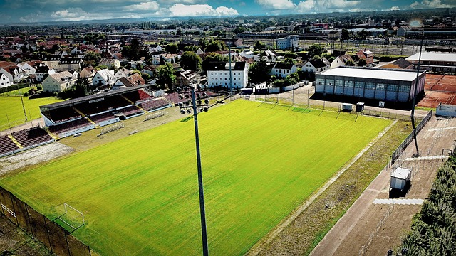 特点制定个 特点制定个