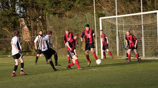 他们流畅的 他们流畅的