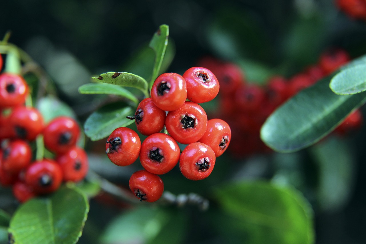 勇士疯狂反扑，库里轰下8记三分，莫兰特贡献17分.