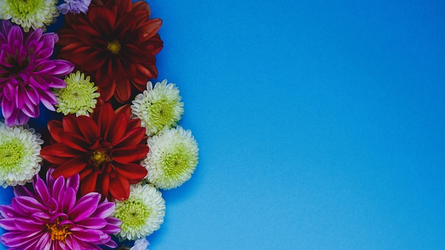 成长之路 成长之路